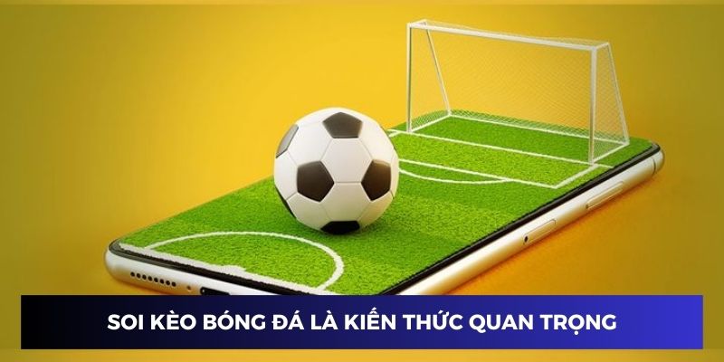 Soi kèo bóng đá là kiến thức quan trọng khi chơi cá độ