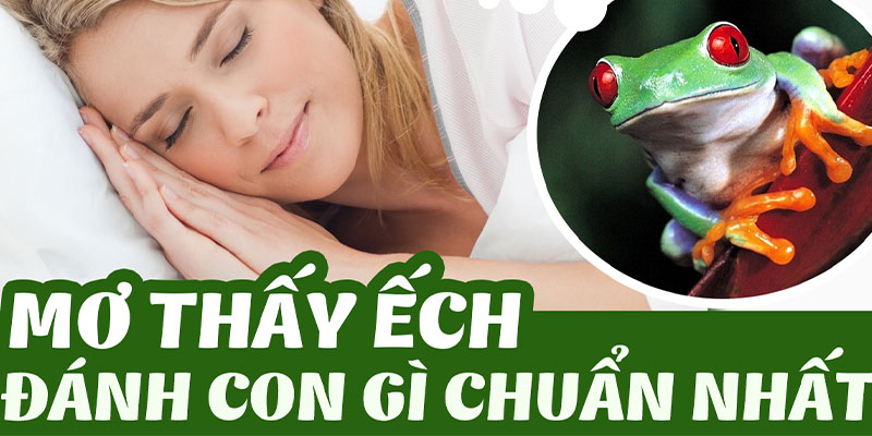 Mơ thấy ếch đánh con gì chuẩn nhất